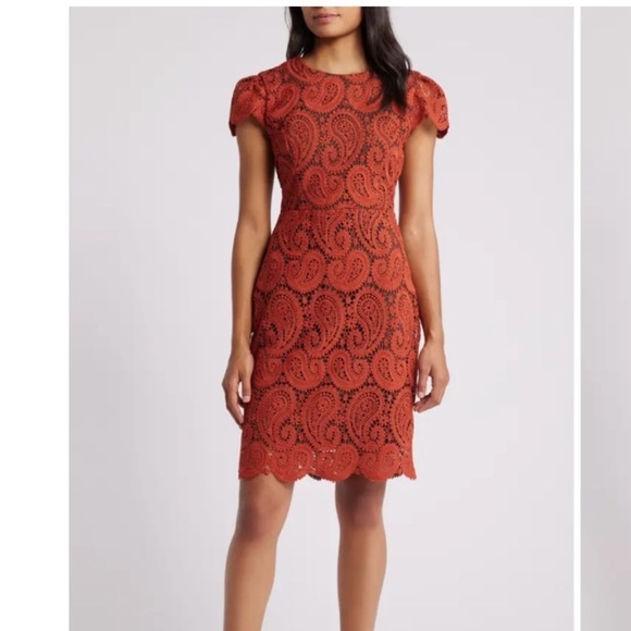 Paisley Lace Cap Sleeve Dress
Tahari ASL - Picture 1 of 4